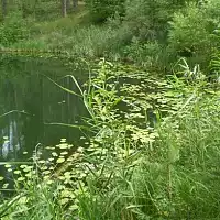 Карстовые озера Медведок 17...